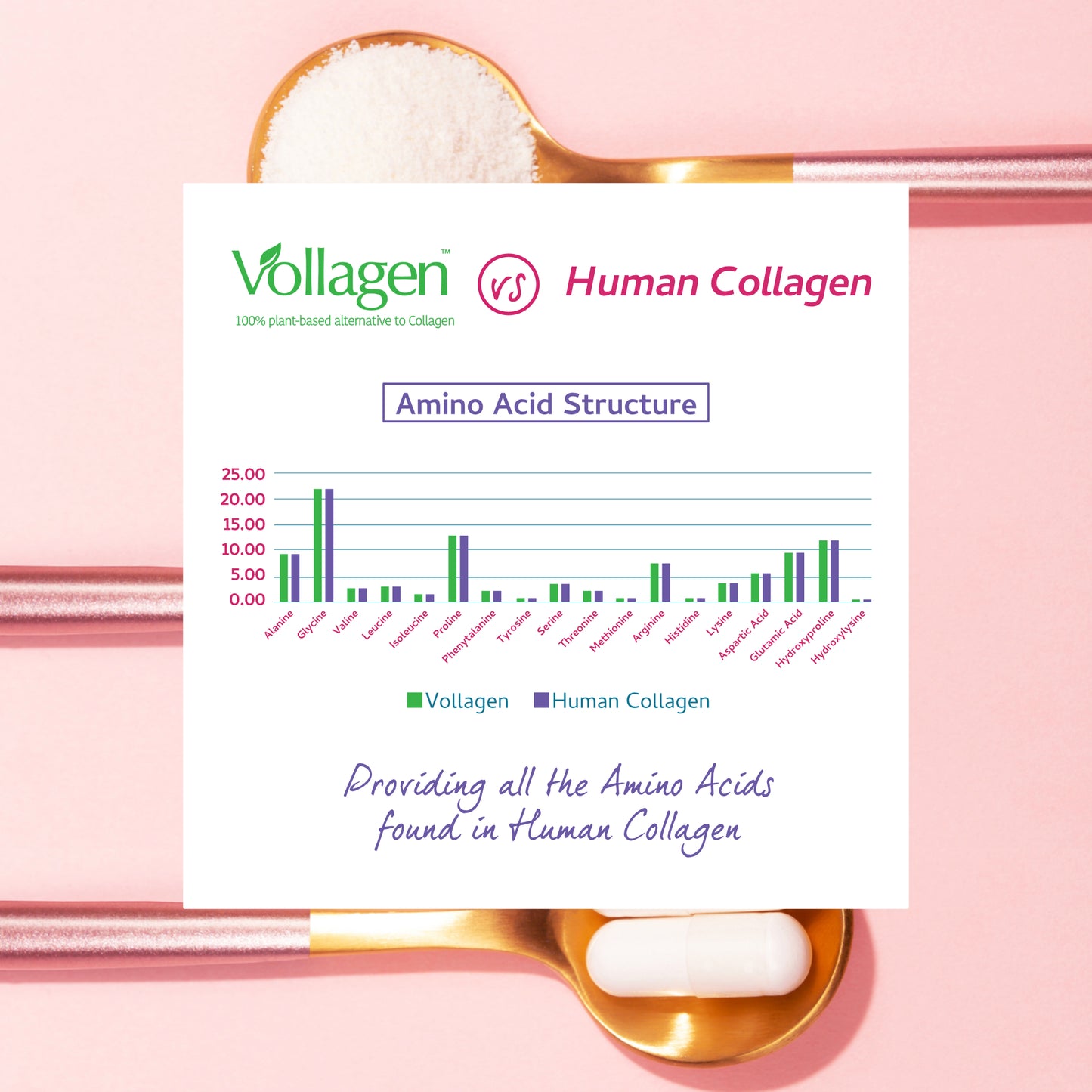 Vegan Collagen & Hyaluronic Acid Complex
