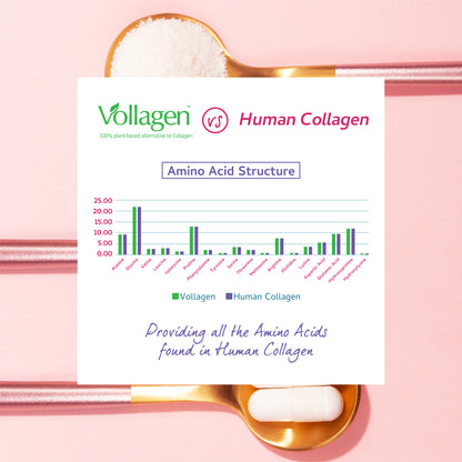 Vegan Collagen & Hyaluronic Acid Complex