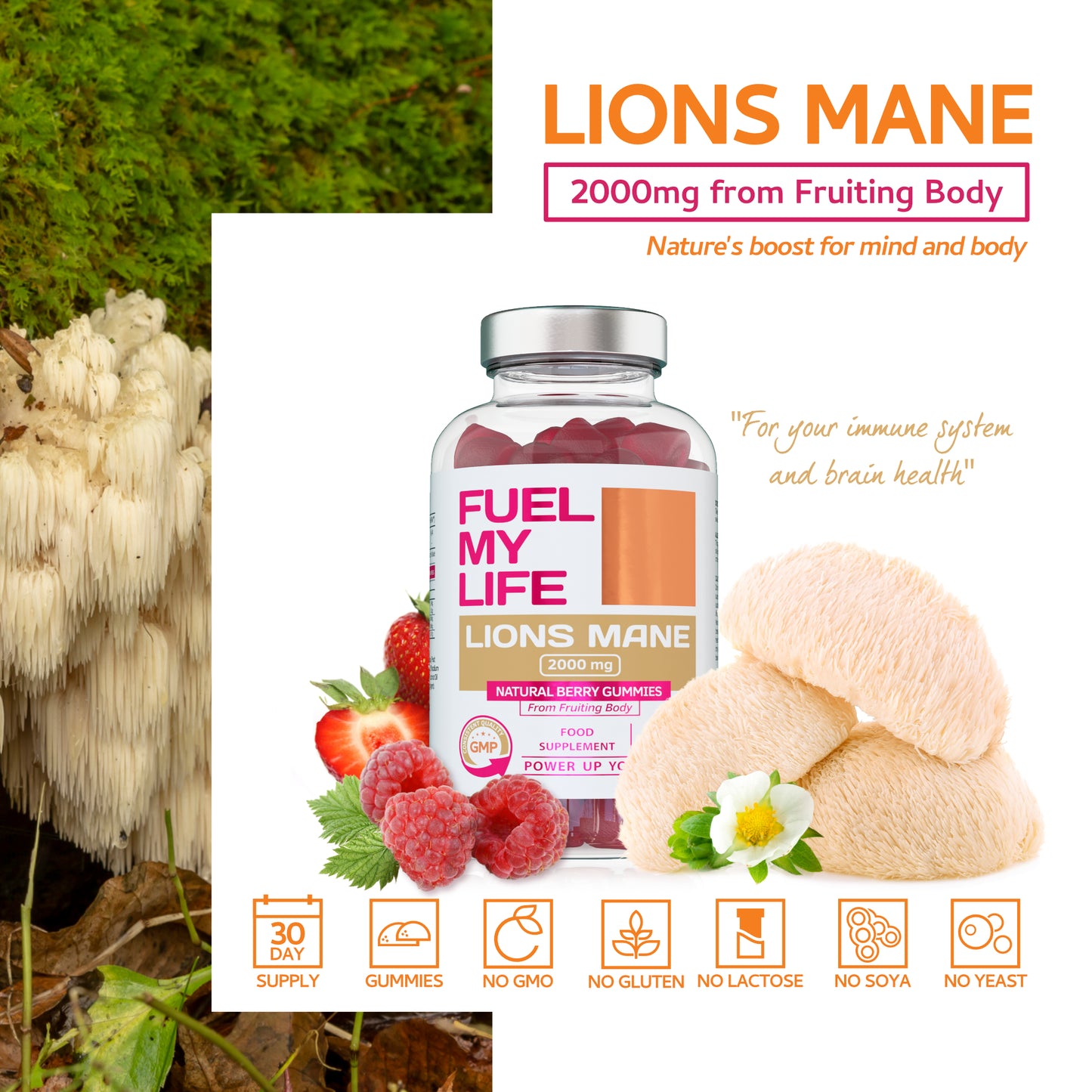 Lions Mane 60 Gummies 2000mg