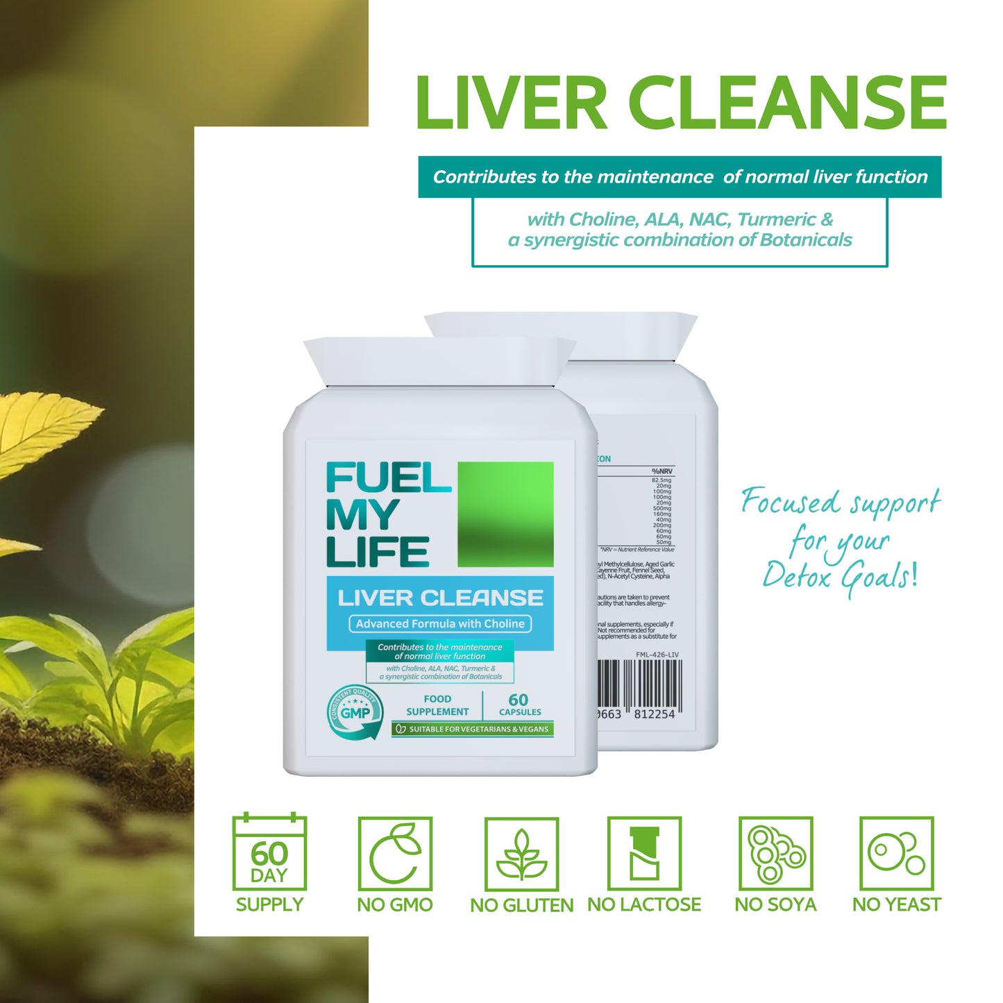 Liver Cleanse